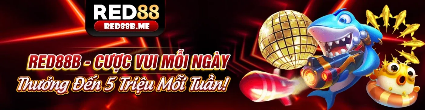 Các quy tắc cá cược công bằng tại 789pp liên kết mới